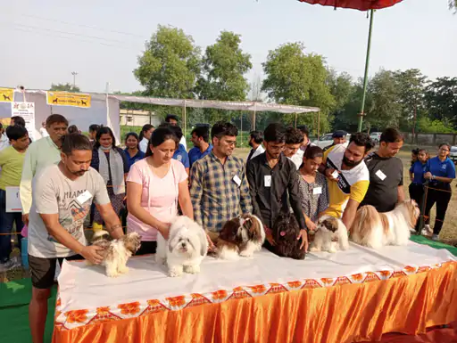 मेरठ: सरदार वल्लभभाई पटेल कृषि यूनिवर्सिटी के किसान मेले में हुआ डॉग शो